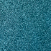Blazer_Shore Low Res.jpg