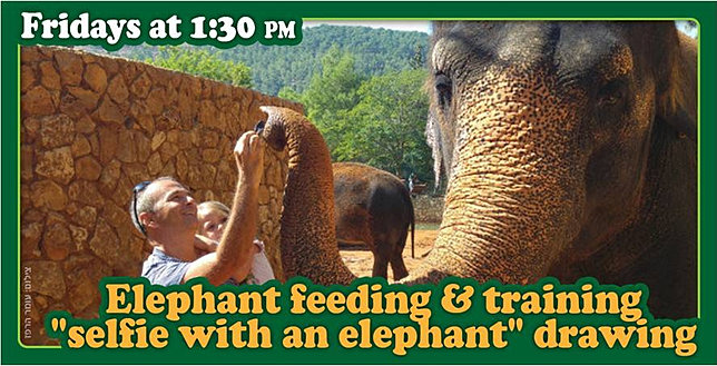 Image Result For Tisch Family Zoological