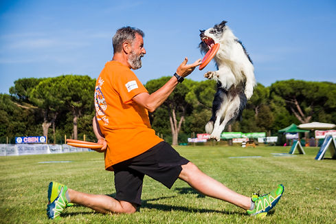 DISC DOG6.jpg