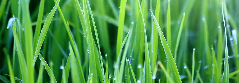 AdobeStock_59044450.jpeg
