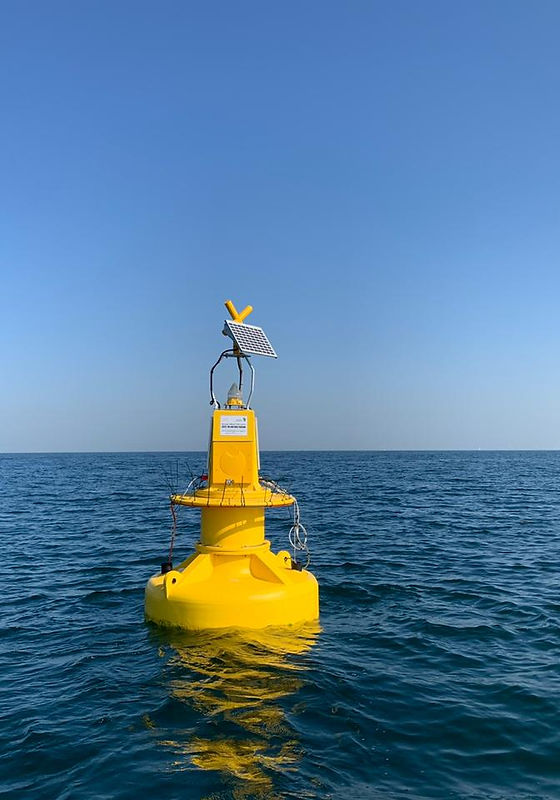 RealTime Marine Observing Systems Hydroqualasa