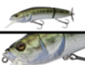 014_largemouth_bass.jpg