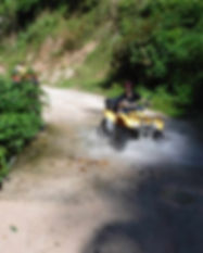 ATV1.jpg
