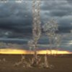 The Crystal Trees are perhaps the most beautiful creation