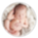 liv review.png
