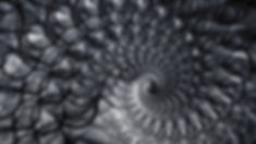 468CF039-4618-4FB1-A3C1-5FC5FB5B7D68.jpeg