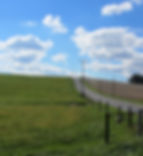 On the way.jpg