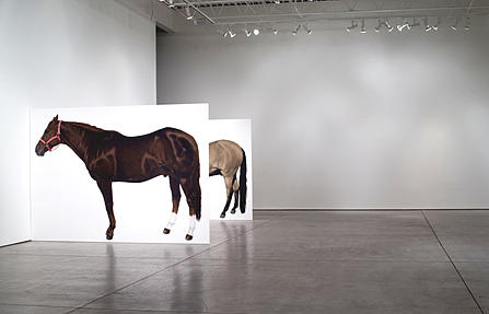 homage to Jannis Kounellis, Lara Nickel, life-size horse paintings