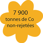 co2.png