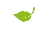 feuille.png