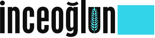 Inceoglun%20Logo%20(Mavi)_edited.png