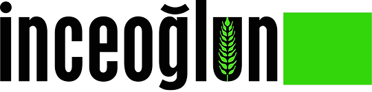 Inceoglun%20Logo%20(Yesil)_edited.png