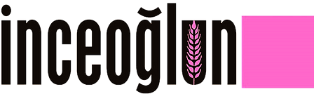 Inceoglun%20Logo%20(Pembe)_edited.png