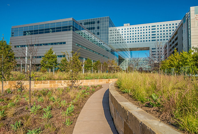 Parkland Wish Clinic Hours