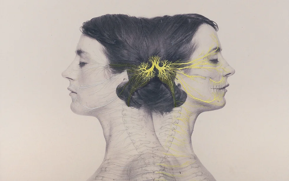 Constructal B 2 by Juana Gomez Embroidery Artwork Juana Gomez Anatomical Embroideries Constructal b 2