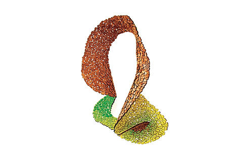 Julia Toledo neckpiece