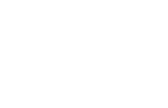 descarga (2).png