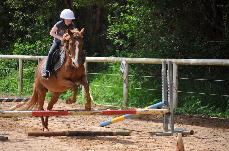 Glasshouse Mountains Riding School