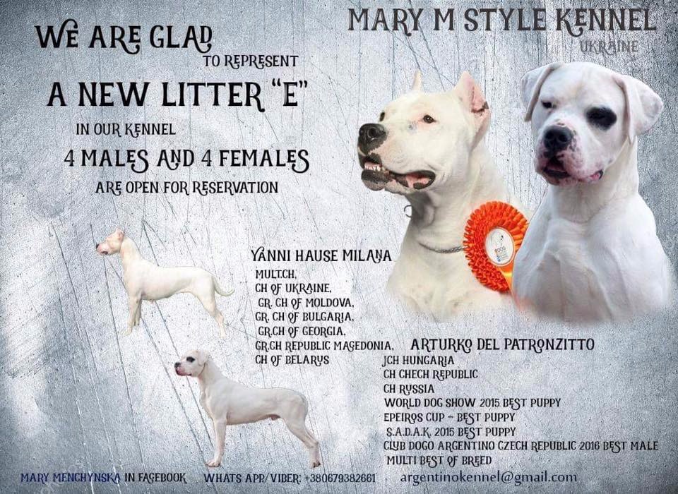 Выбор питомника и проверка репутации заводчика