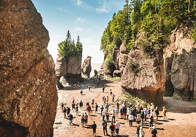 iStock-523583319-1024x705.jpg
