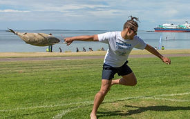 Tuna Toss2.jpg