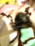 4684942B-DE4B-4B05-BB15-9B4DD7EDEF49.jpe
