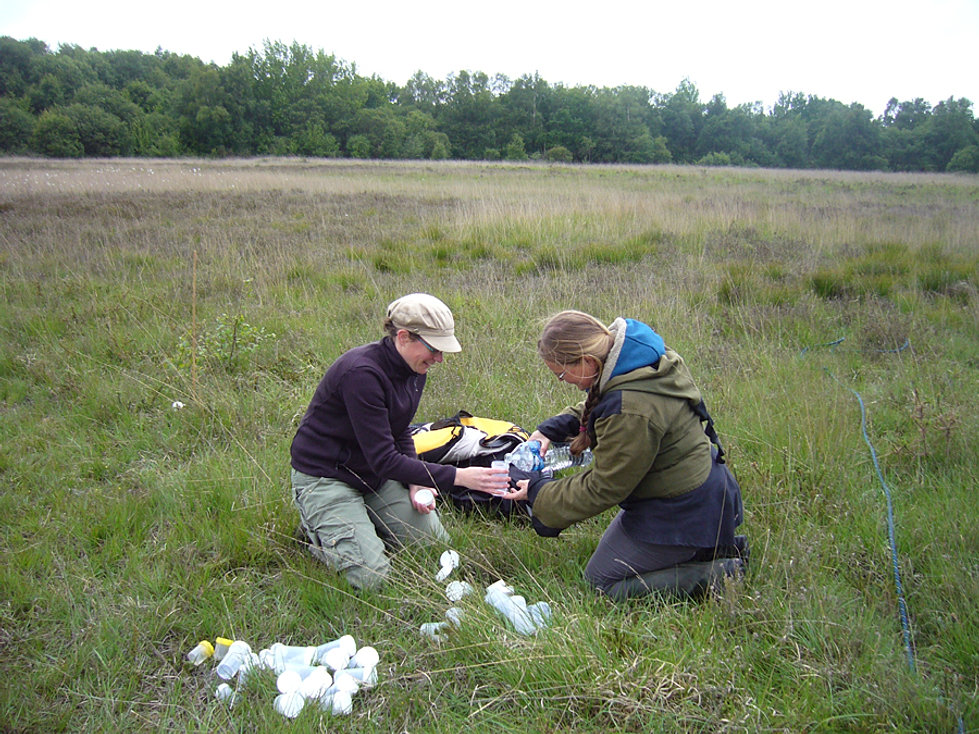 Cpie de lessay 07 picture