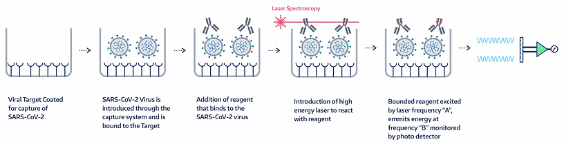 Kontrol BioCloud Detection Process Horizontal.png