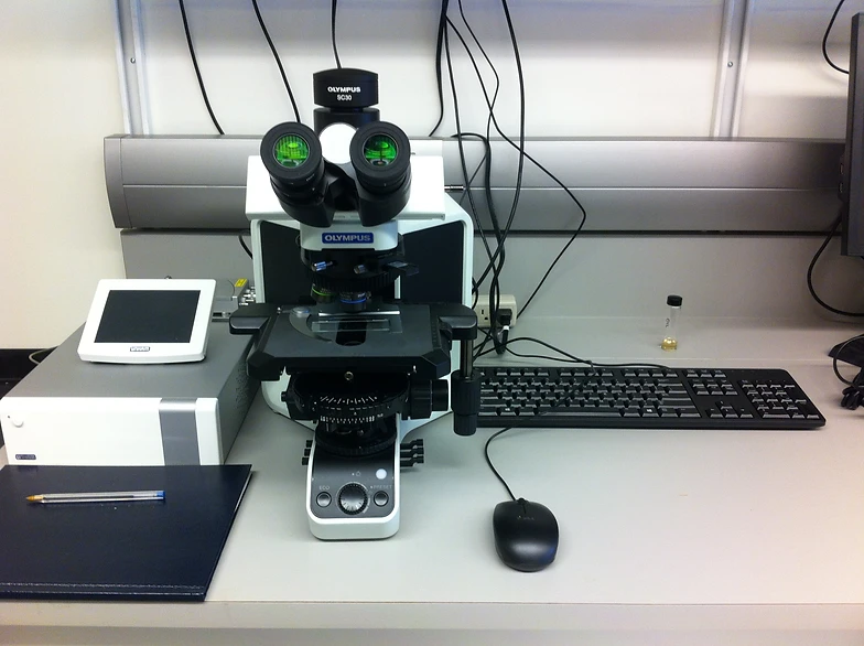 website gallery olympus optical microscope