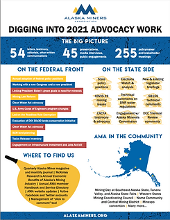 Advocacy Flyer