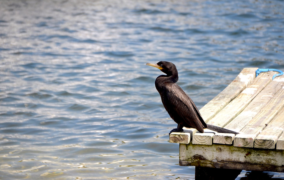 bfbb16_2ca3cfc5deb04ec18353f9fb5c764303~mv2_d_4592_2916_s_4_2.jpg_srz_964_612_85_22_0.50_1.20_0.00_jpg_srz