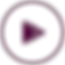extraVAS_(plum)-03.png