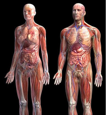 إبليس والجن