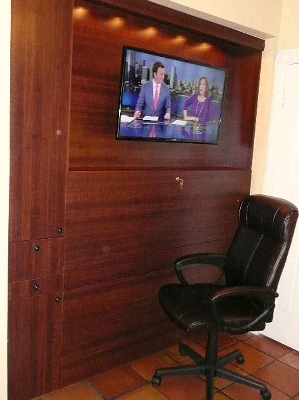 ZoomRoom Murphy Bed Desk