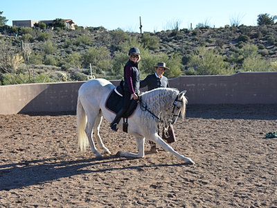 Lessons &amp; Training
