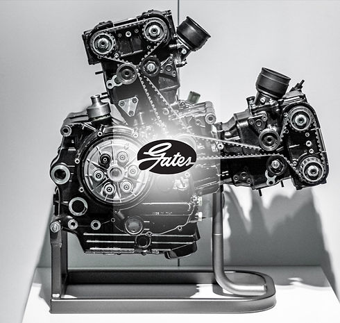 Autobax-Timing-Belts_02.jpg