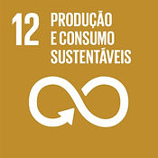 SDG-icon-PT-RGB-12-1.jpg
