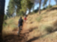 סינגל יער ביריה - טיול אופניים בצפון