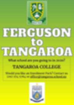 2020 A5 Flyer - Ferguson (1).jpg