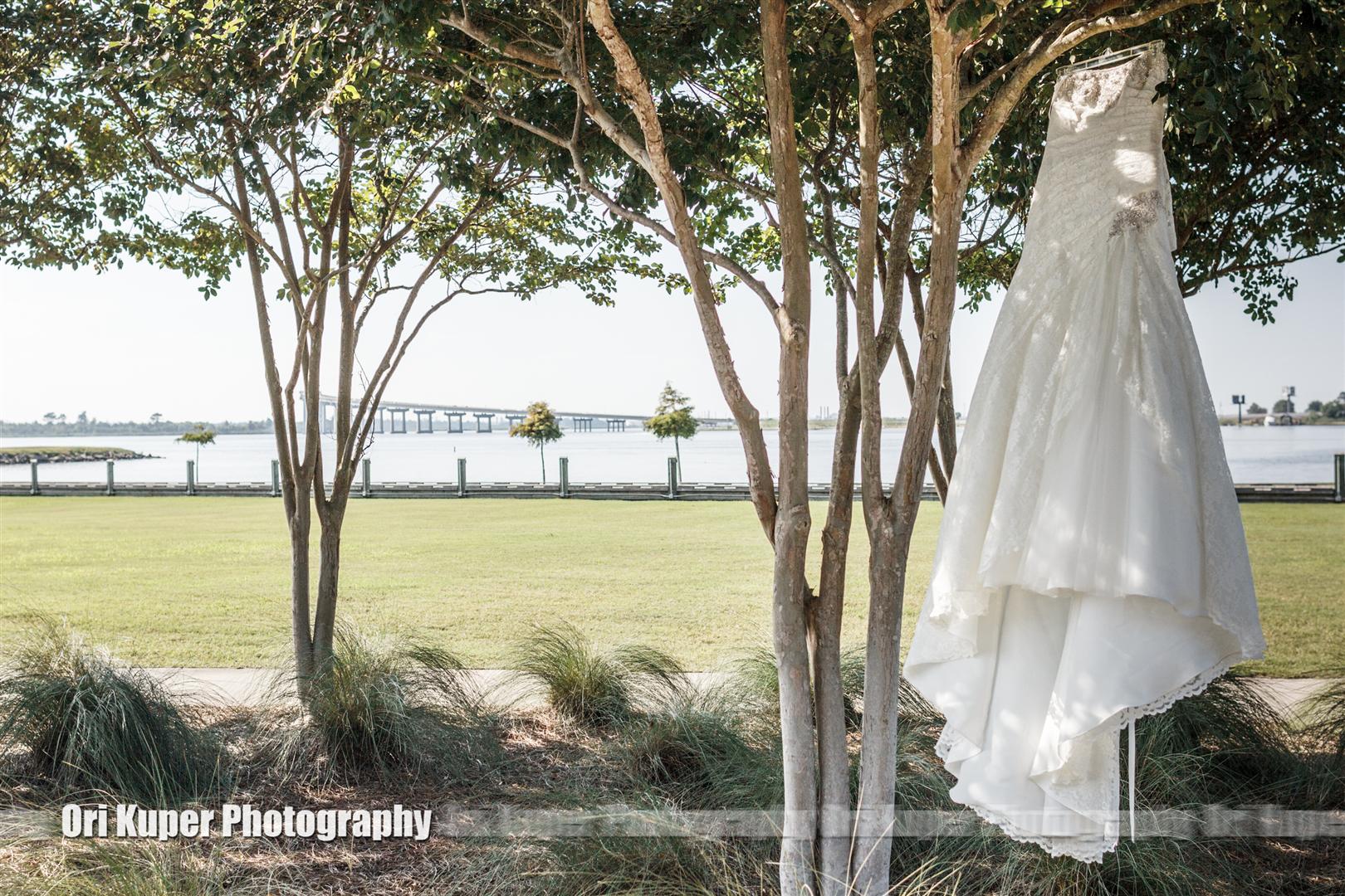 Jennifer Douglas Prien Lake Park La Houvideographers