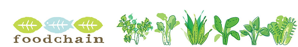 c42db0_89b46d7031754365a090cd98b954bd79.