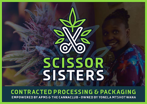 Scissor Sisters 1.jpg