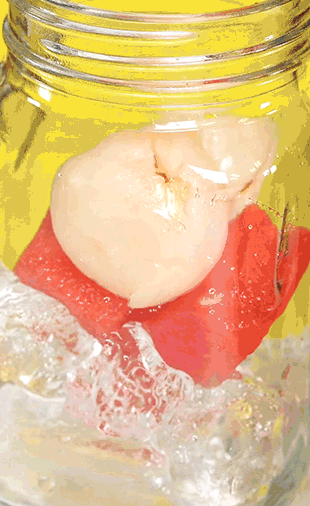 lychee-watermelon.gif