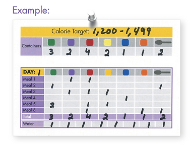 21 day fix tracking sheets fit life bound 21 day fix tracking sheets