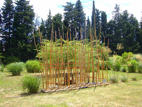 Harmonie bambou, palissades bambou, jardin ambiance japonisante ... Bambou Créatif clôture