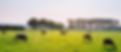 Elioreso, solutions personnalisées pour l'emploi agricole