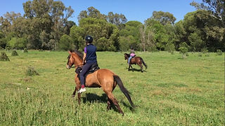 horseback riding doñana, spanish horse PRE