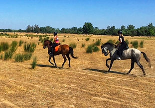 visitar el rocio a caballo, paseo a caballo por el rocio, caballos andaluces
