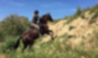 aventuras a caballo en donana, caballo español, mountain trail