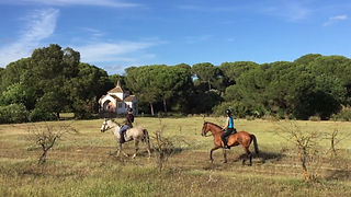 trail riding in donana, andalusian horse